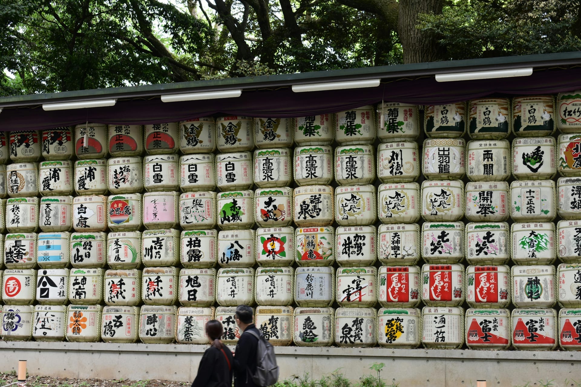 Wall of traditional sake barrels stacked along the forested approach path at Meiji Shrine in Tokyo